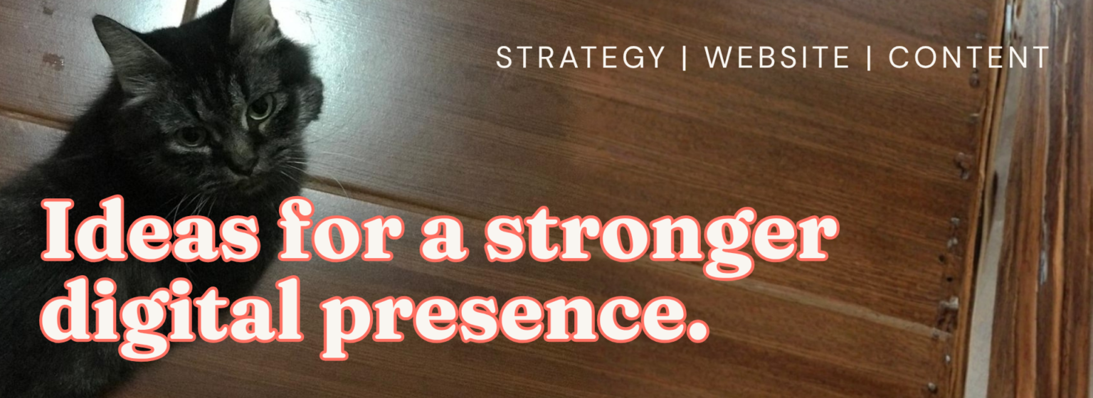 ajcpreligera blog cover featuring Lucy, Arianne’s cat, alongside digital strategy branding.